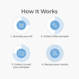 Genetrace DNA Twin Test: resultados rápidos en 1-2 días.