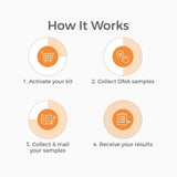 Genetrace Primos: resultados confidenciales en 1-2 días