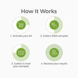 Genetrace Tomar Muestras Bucales: proceso sencillo y sin dolor para la prueba avuncular.