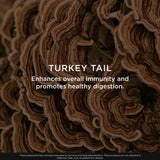 Origen natural y cultivo orgánico de Genius Turkey Tail en fondo verde.