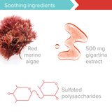 Gigartina alga marina roja, extracto 500 mg para mayor concentración