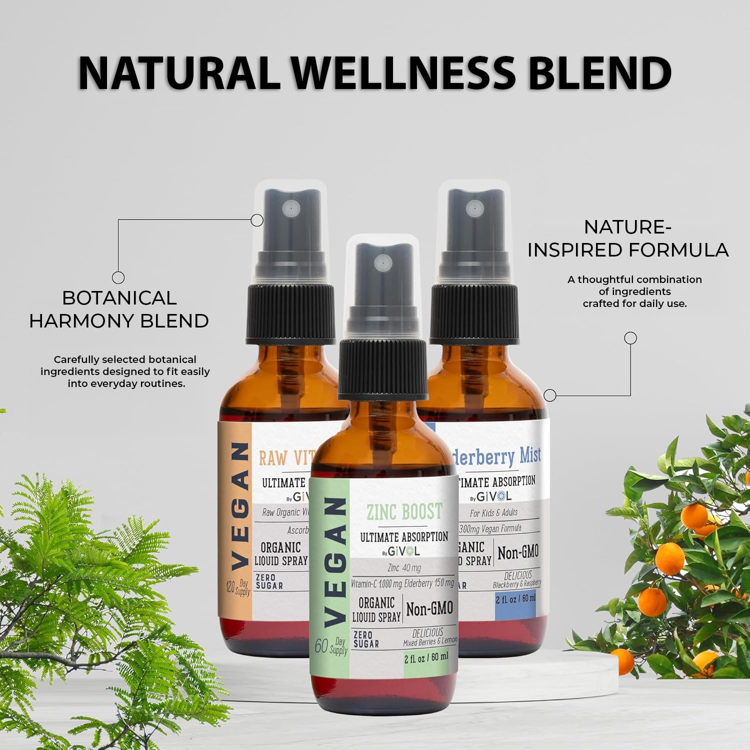 GIVOL niebla de zinc boost: complemento mineral rápido.