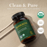 Global Healing Center Berberina Orgánica potencia 1200 mg, fórmula fuerte para uso diario
