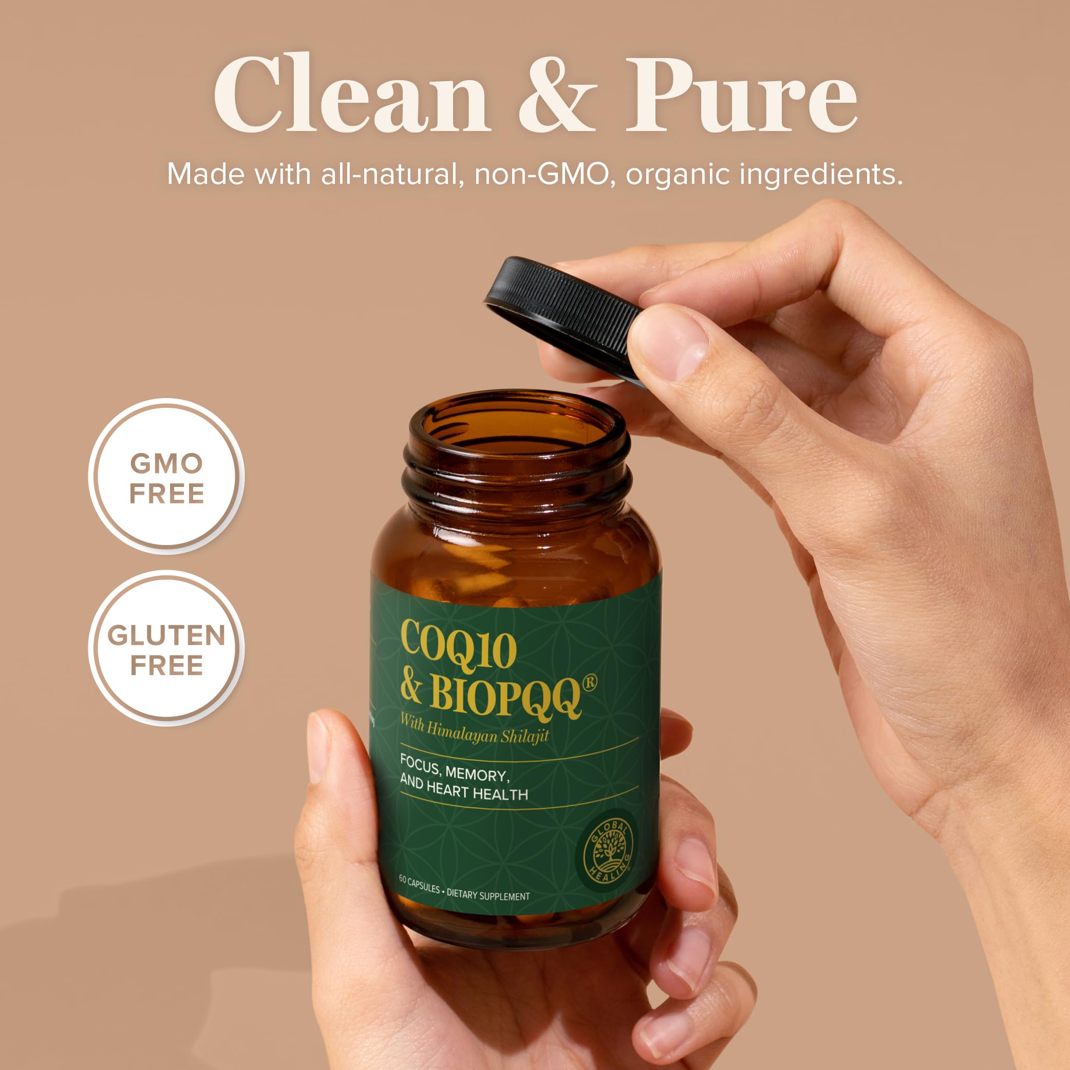 Global Healing Center Shilajit Orgánico Himalaya fuente natural.