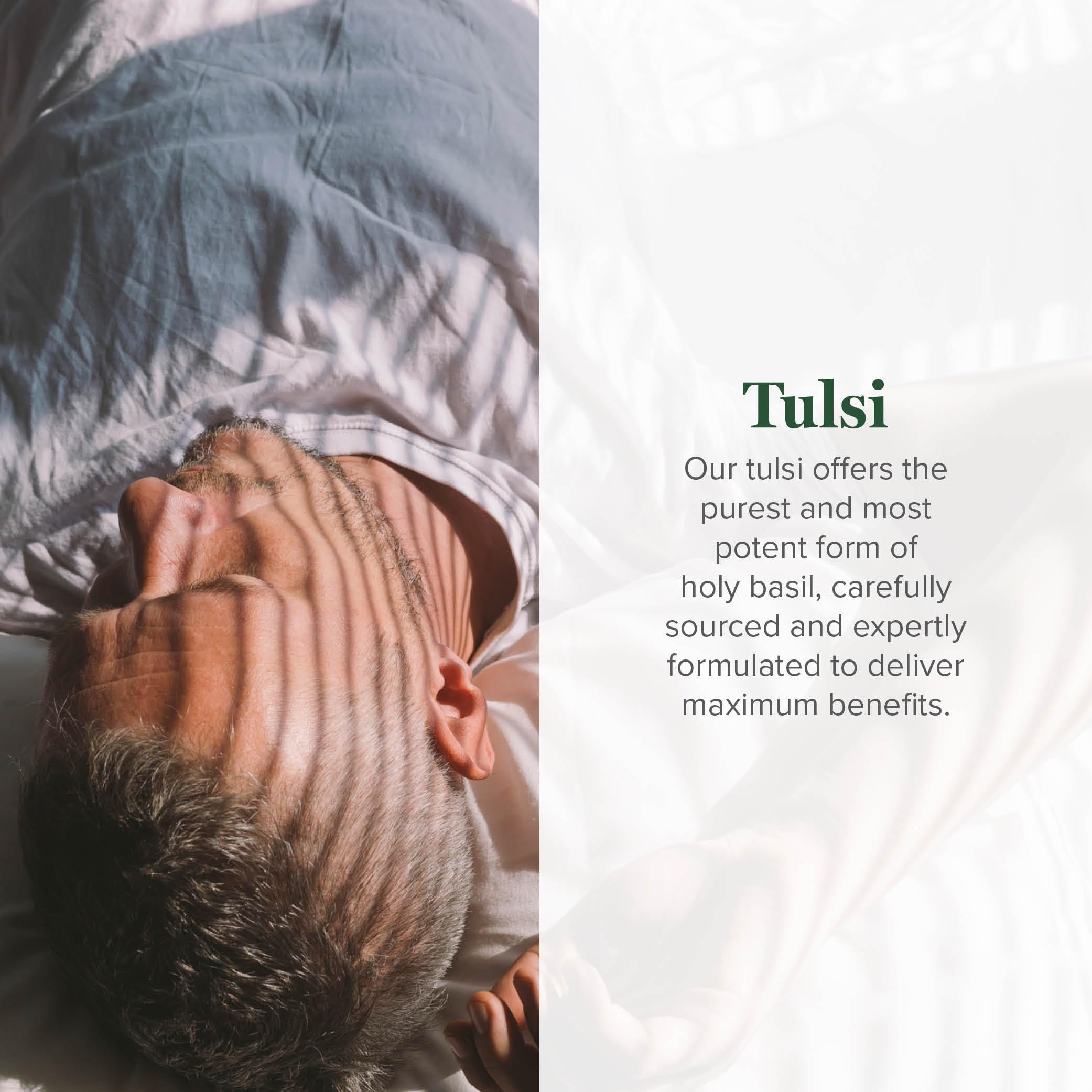 Global Healing Center Tulsi Orgánico: extracto bio-disponible para energía natural.
