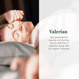 Global Healing Center Valeriana: etiqueta detallada para conocer ingredientes y uso