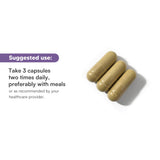 Glutathione Amino Complex: ingredientes clave en vista cenital para detox suave.
