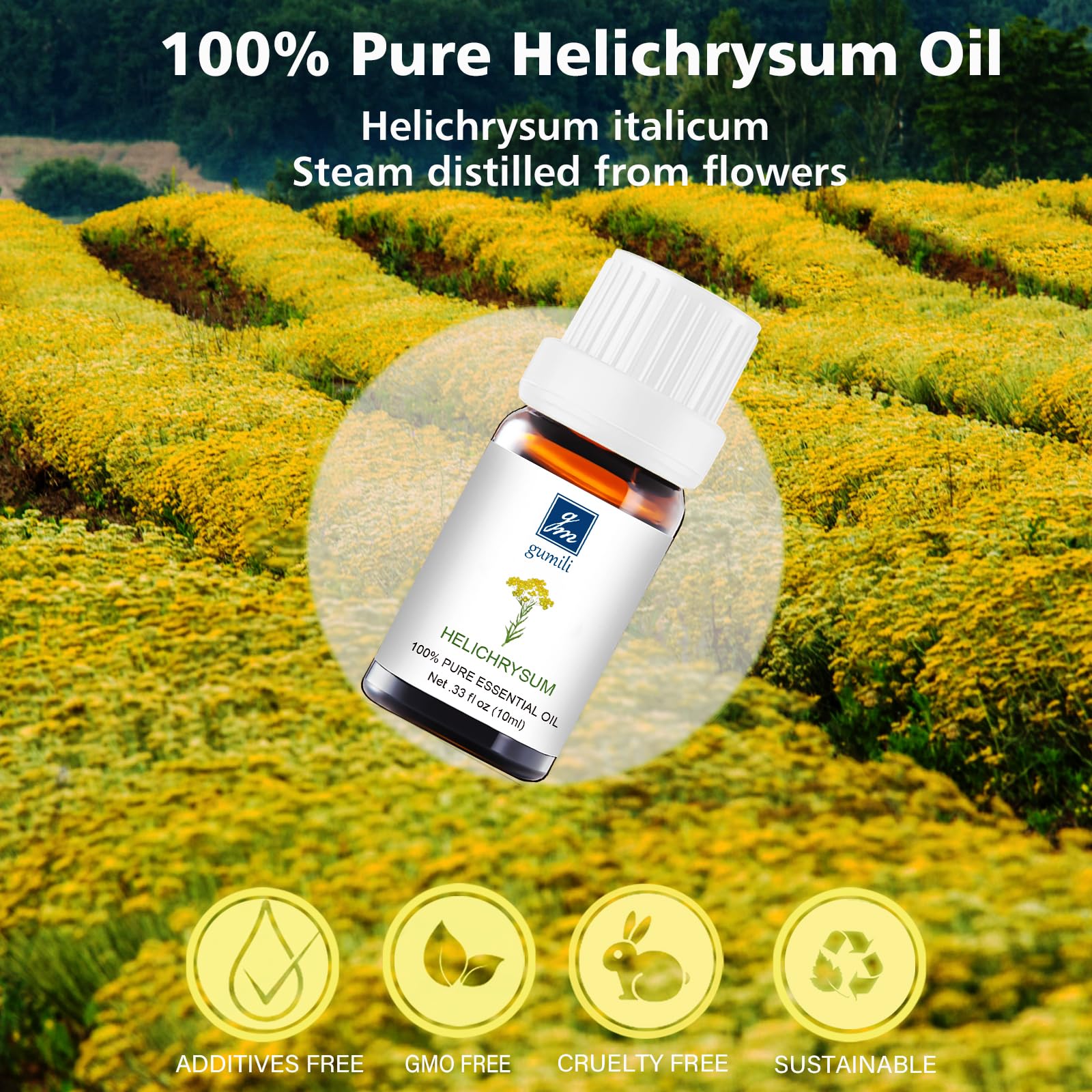 GM Gumili Helichrysum, difusor con aroma calmante para el hogar