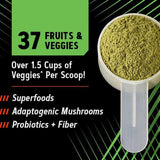 GNC Amplified Greens ICY Lemonade, ingredientes clave, variedad de frutas y verduras.