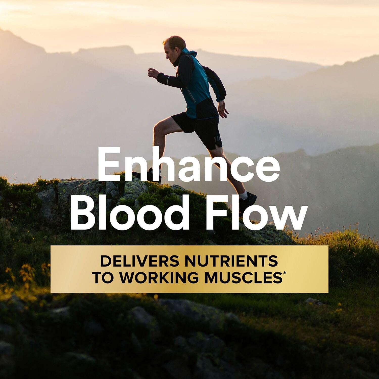 GNC Mega Men Sport Vitapak, ingrediente para favorecer el flujo sanguíneo durante la actividad