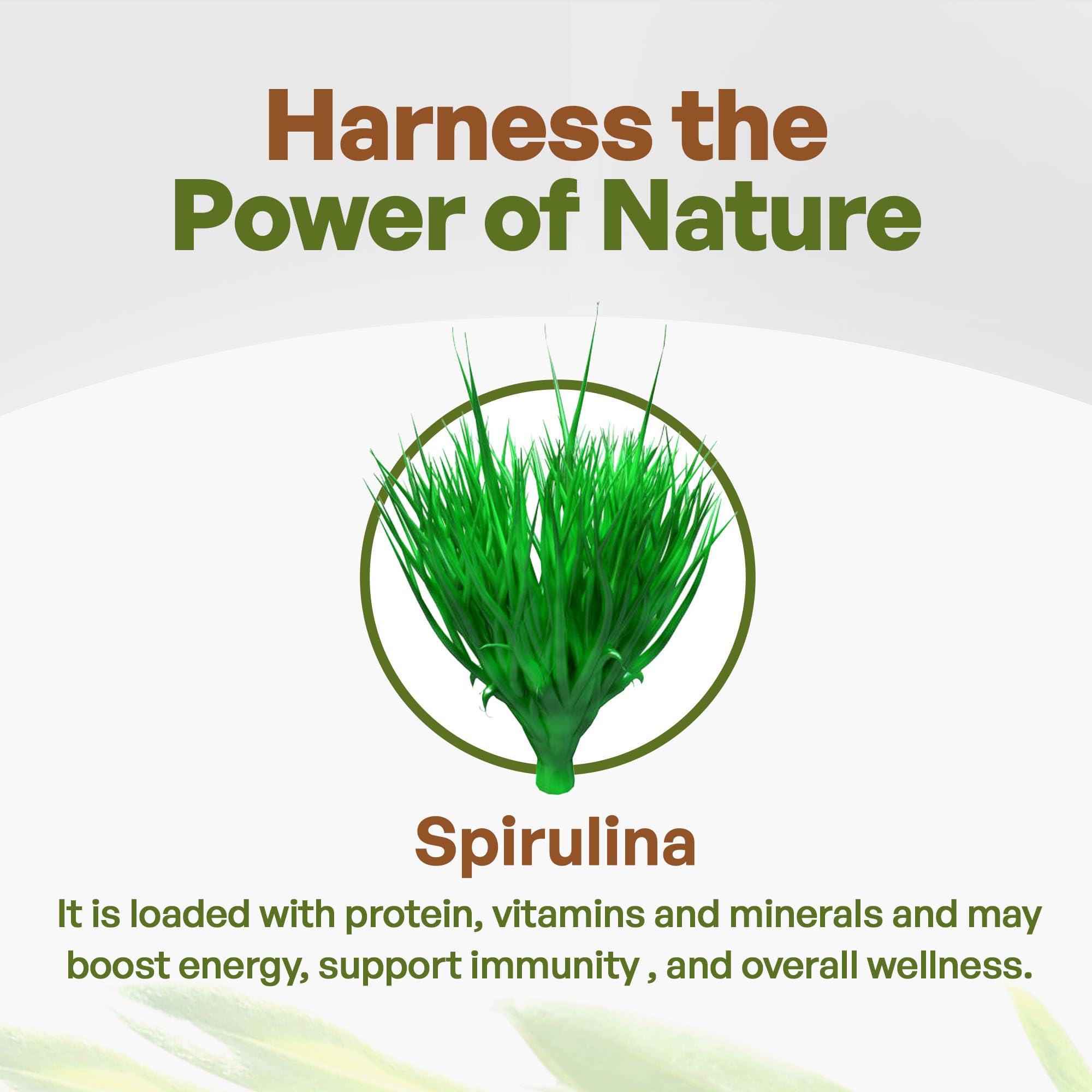 Go Nutra Spirulina en polvo para smoothies, color verde y aporte de proteínas.