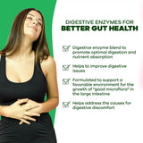 Cápsulas vegetales de GOBIOTIX para digestión, absorción de nutrientes y confort digestivo.