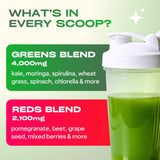 GOBIOTIX Super Greens: probióticos y enzimas para digestión suave.