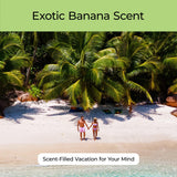 Good Essential fragancia de banana para masa pegajosa de proyectos infantiles