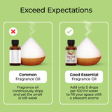Good Essential aroma pastel de calabaza para perfumes DIY