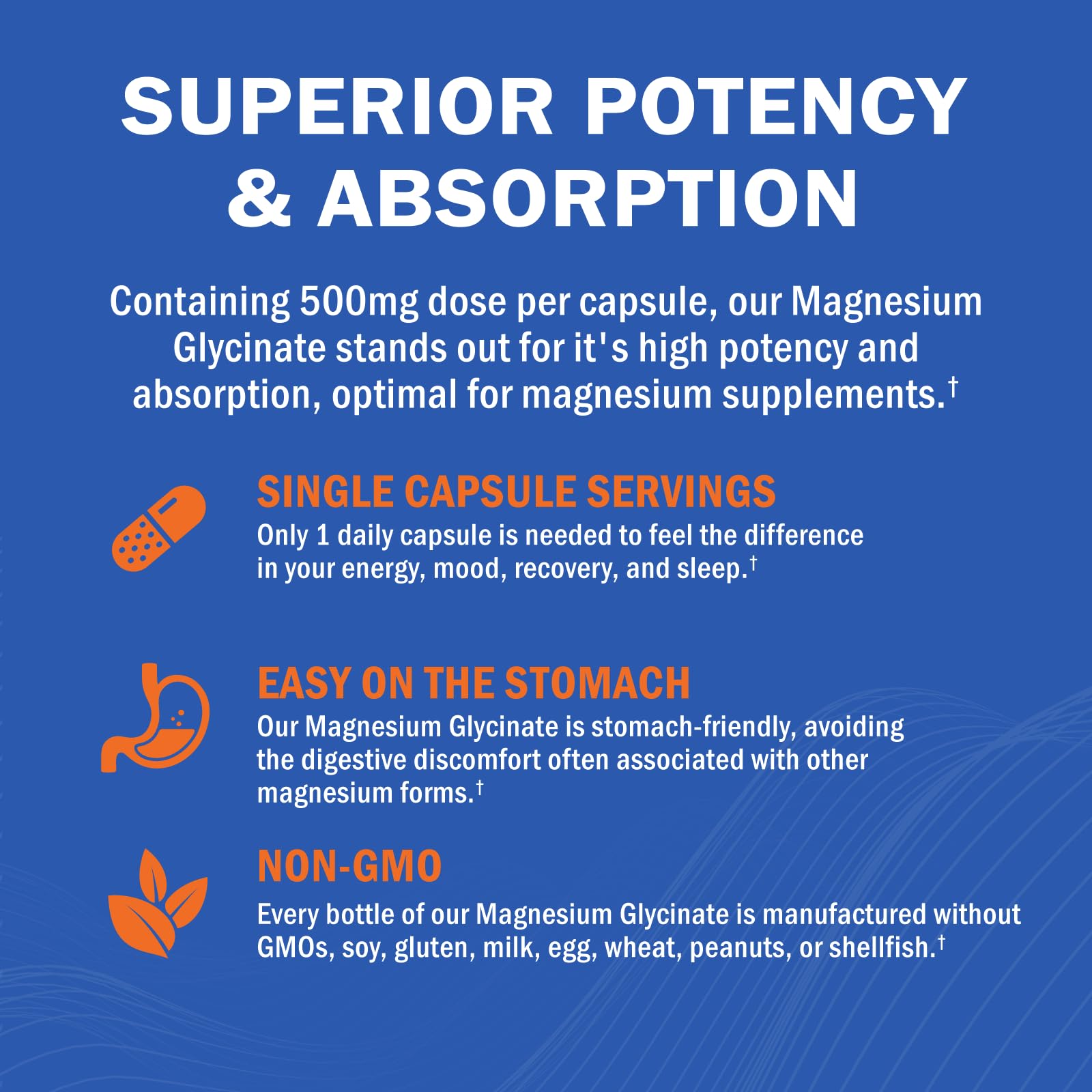 Capsulas GOODBIO Magnesium Glycinate fáciles de tragar para digestión suave.