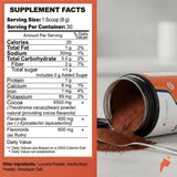 Goorello: mezcla para batidos con cacao flavanoles para mayor flujo.