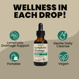 Gotas drenaje linfático: mezcla herbal tradicional para apoyo diario.