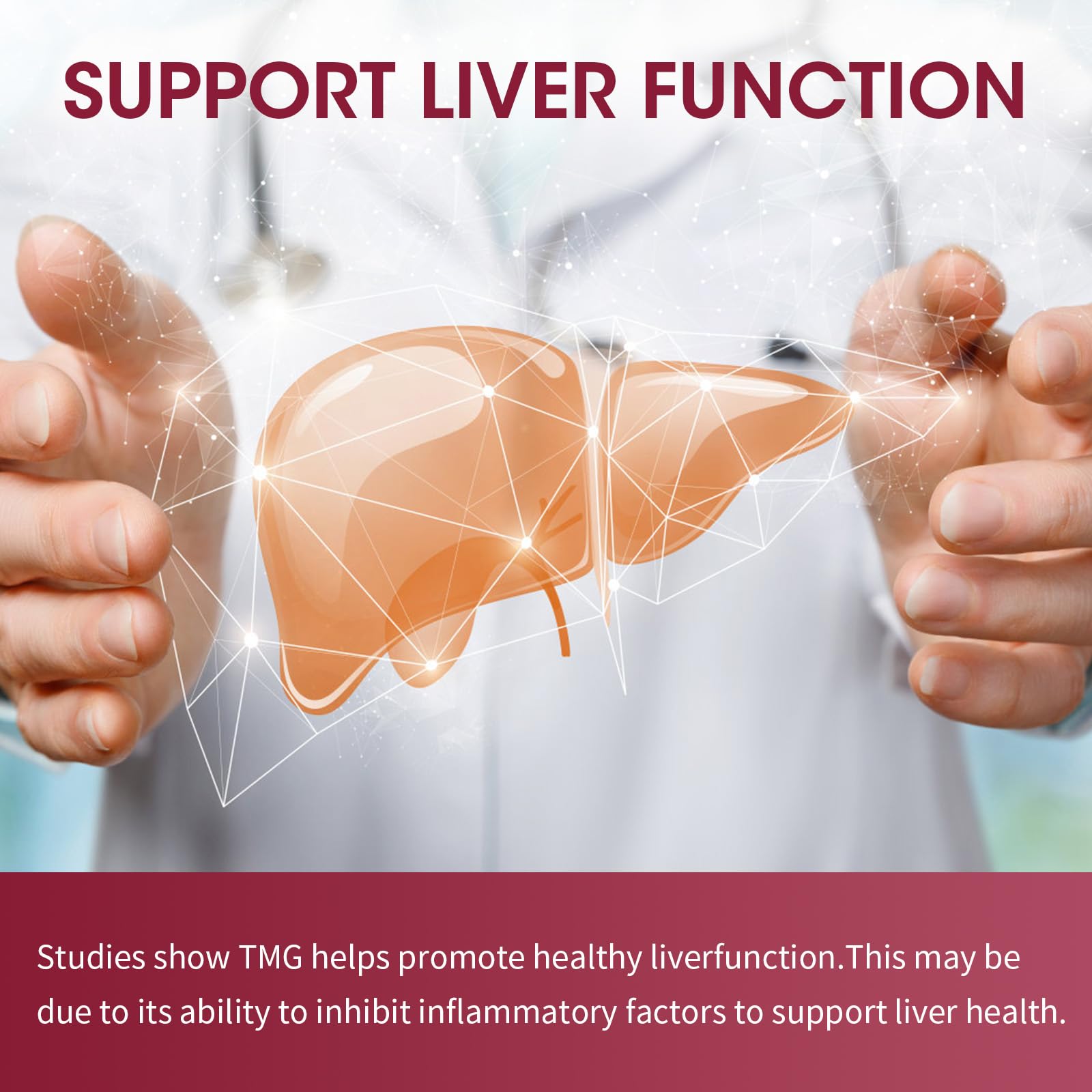 GPGP TMG Drops con vitaminas B, soporte para metabolismo y energía sostenida.