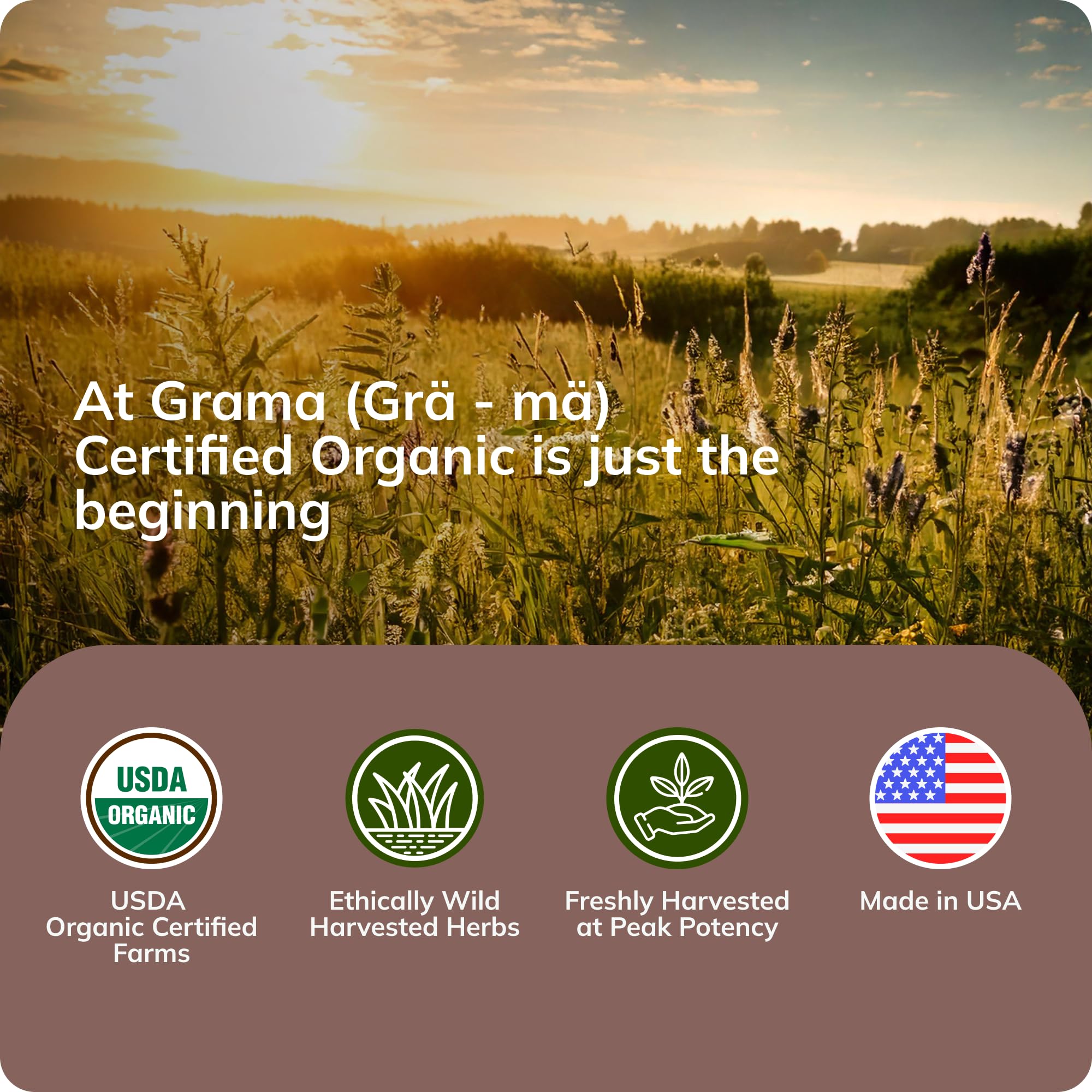 Grama Wellness Aller-Calm, contiene cúrcuma y ortiga de apoyo natural.