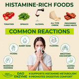 GREAT BILLIOM DAO Enzyme: dosis diaria simplificada para rutina saludable.