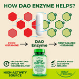GREAT BILLIOM DAO Enzyme: liberación diferida para llegada al intestino.