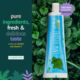 Green Beaver Pasta dental menta fresca para rutina de higiene diaria