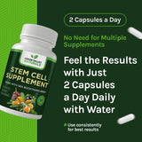 GREEN VALLEY NATURALS Stem Cell Restore: extracto de semilla de uva, apoyo a la circulación.