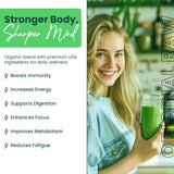 Greens+ Probióticos sin lactosa: apoyo a la salud intestinal para todo el día.
