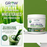 Grow Vitamin textura polvo trigo crudo verde, ideal para batidos energéticos