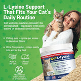 Guardian's Choice lisina para gatos: producto limpio y sin OGM.