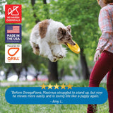 Guardian's Choice Omega-3 para perros: presentación diaria y fácil de servir.
