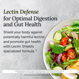 Gundry MD Lectin Shield: tabletas incluidas para uso diario.