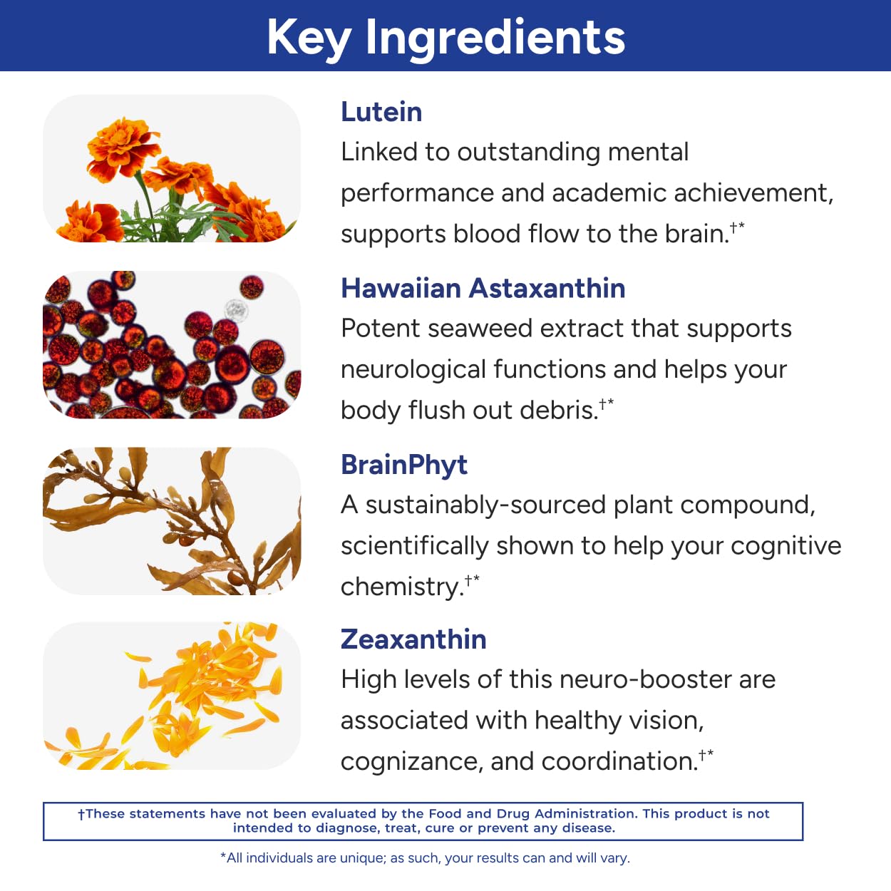 Gundry MD Power Phenols tocotrienoles y tocopheroles para apoyo neuronal