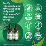 GuruNanda Gutcleanse: uso diario recomendado con vaso de agua.