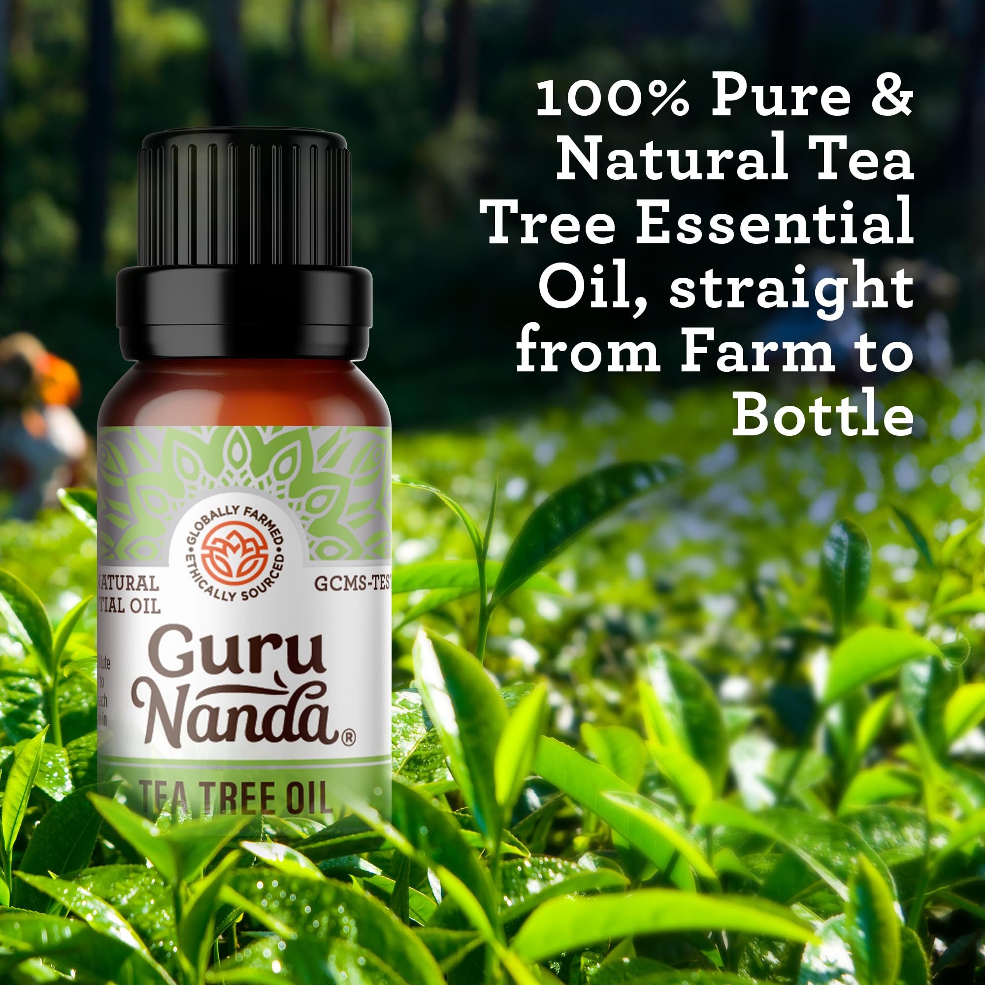GuruNanda Tea Tree: aceite para mezclar con aceites portadores en recetas caseras de piel.