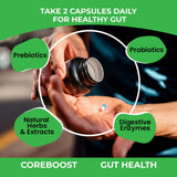 GUTVED Fórmula 9-en-1: combinación de probióticos, prebióticos y hierbas digestivas