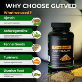 GUTVED Cúrcuma y jengibre: ingredientes cálidos para aroma y confort digestivo
