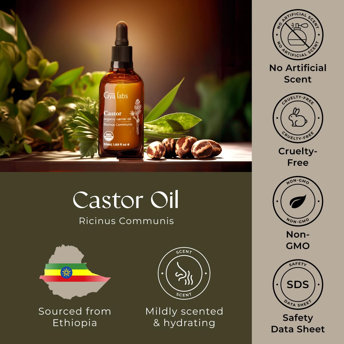 Gya Labs Aceite de ricino orgánico, uso DIY, base de belleza para mezclas