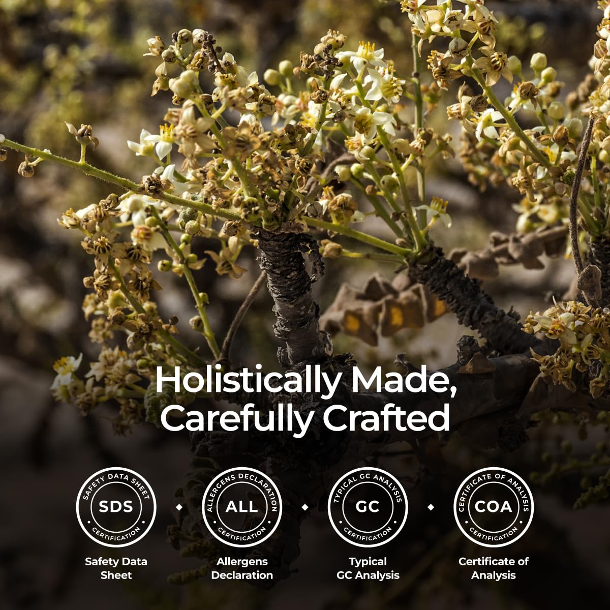 Gya Labs Aceite Esencial de Incienso para ambiente hogareño, mejora la relajación.