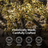 Gya Labs Aceite Esencial de Incienso para ambiente hogareño, mejora la relajación.