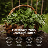 Gya Labs Aceite Esencial de Menta para recetas caseras, añade a champú y velas aromáticas.