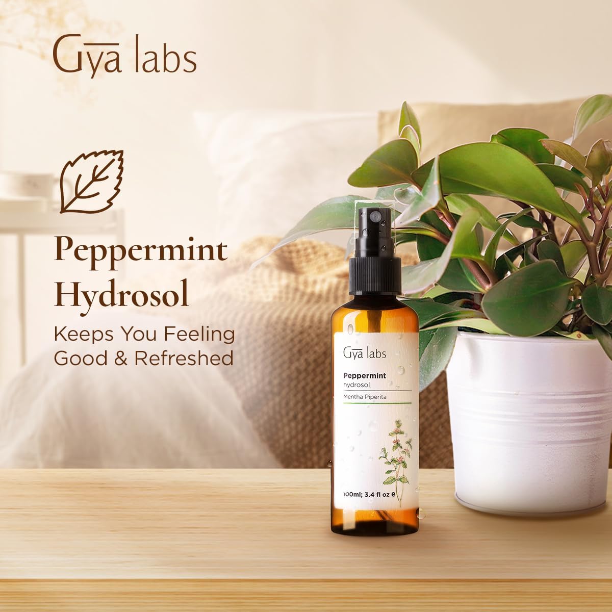 Gya Labs hidrosol de menta: rociado sobre almohadas y sábanas para perfumar