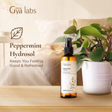 Gya Labs hidrosol de menta: rociado sobre almohadas y sábanas para perfumar
