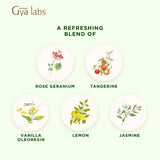 Regalo de bienestar: Gya Labs Joy, aroma suave y ético.