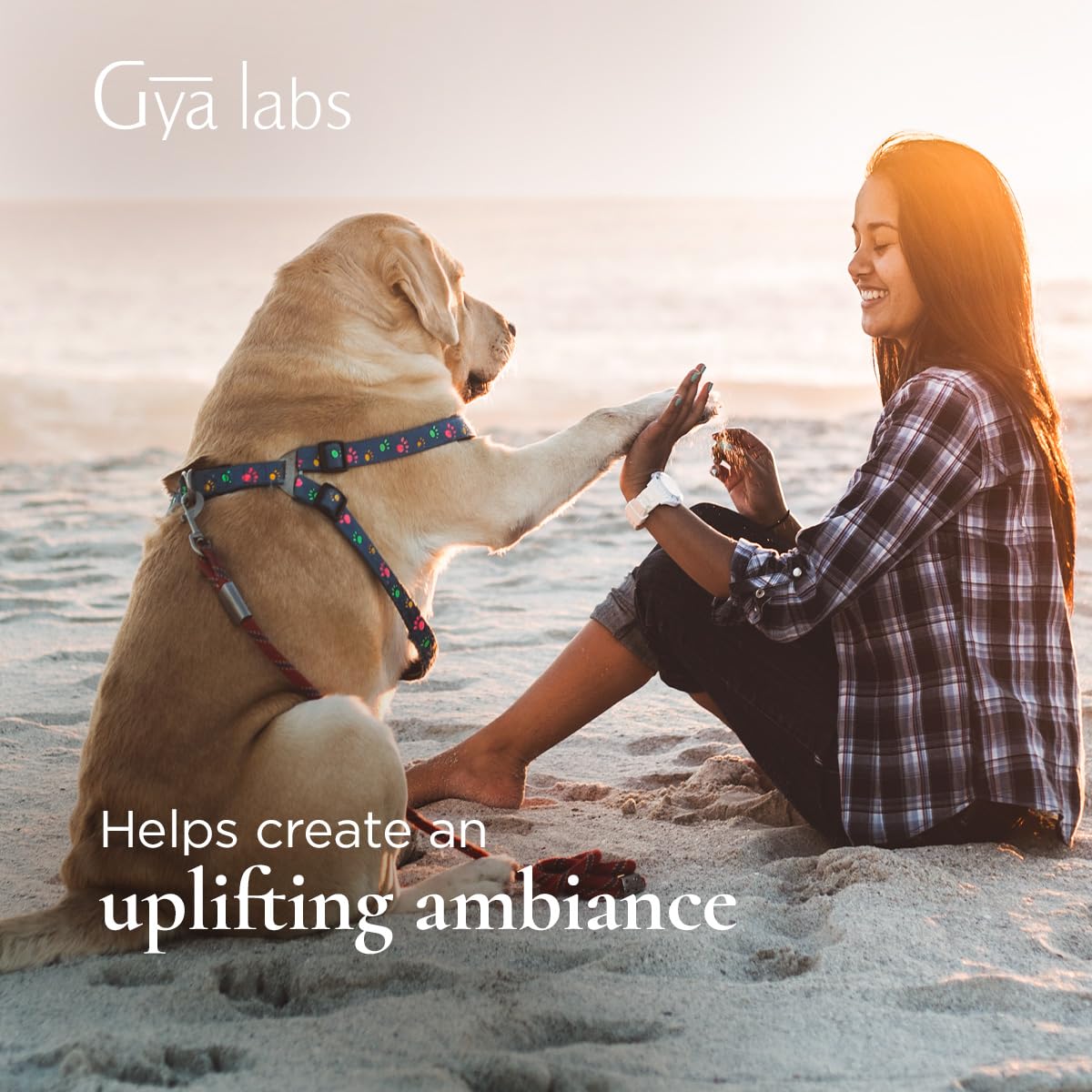 Gya Labs Lemongrass Hydrosol, aroma fresco para superficies y textiles.