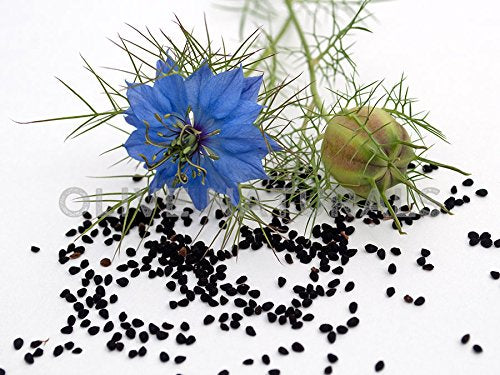 Gye Nyame bitters, etiqueta del producto con aroma herbáceo para ritual diario.