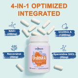 Ingredientes clave: NAD+, trans-resveratrol y Spermidina para soporte celular.