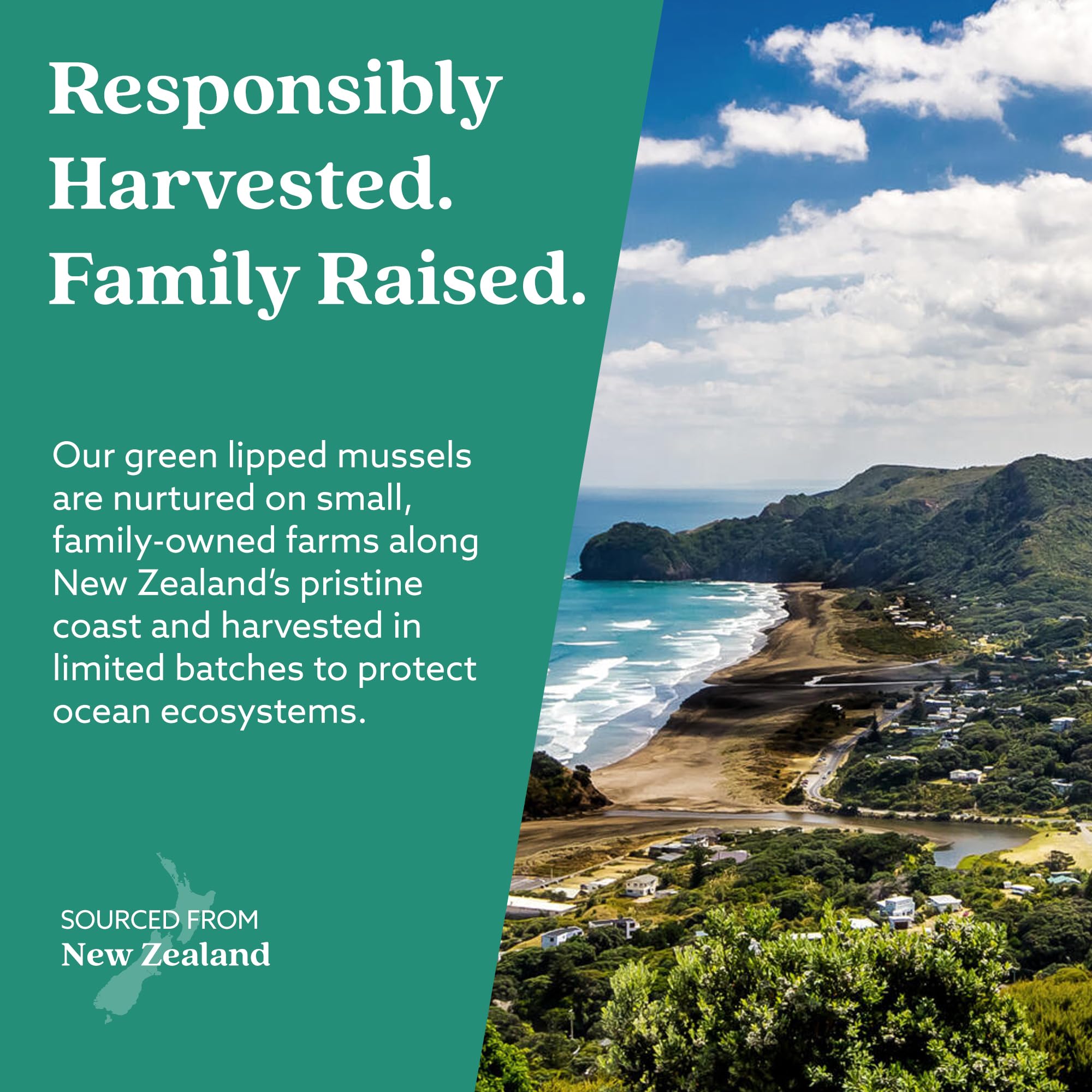 HAKA Life GLX3 premium New Zealand mussel oil packaging design