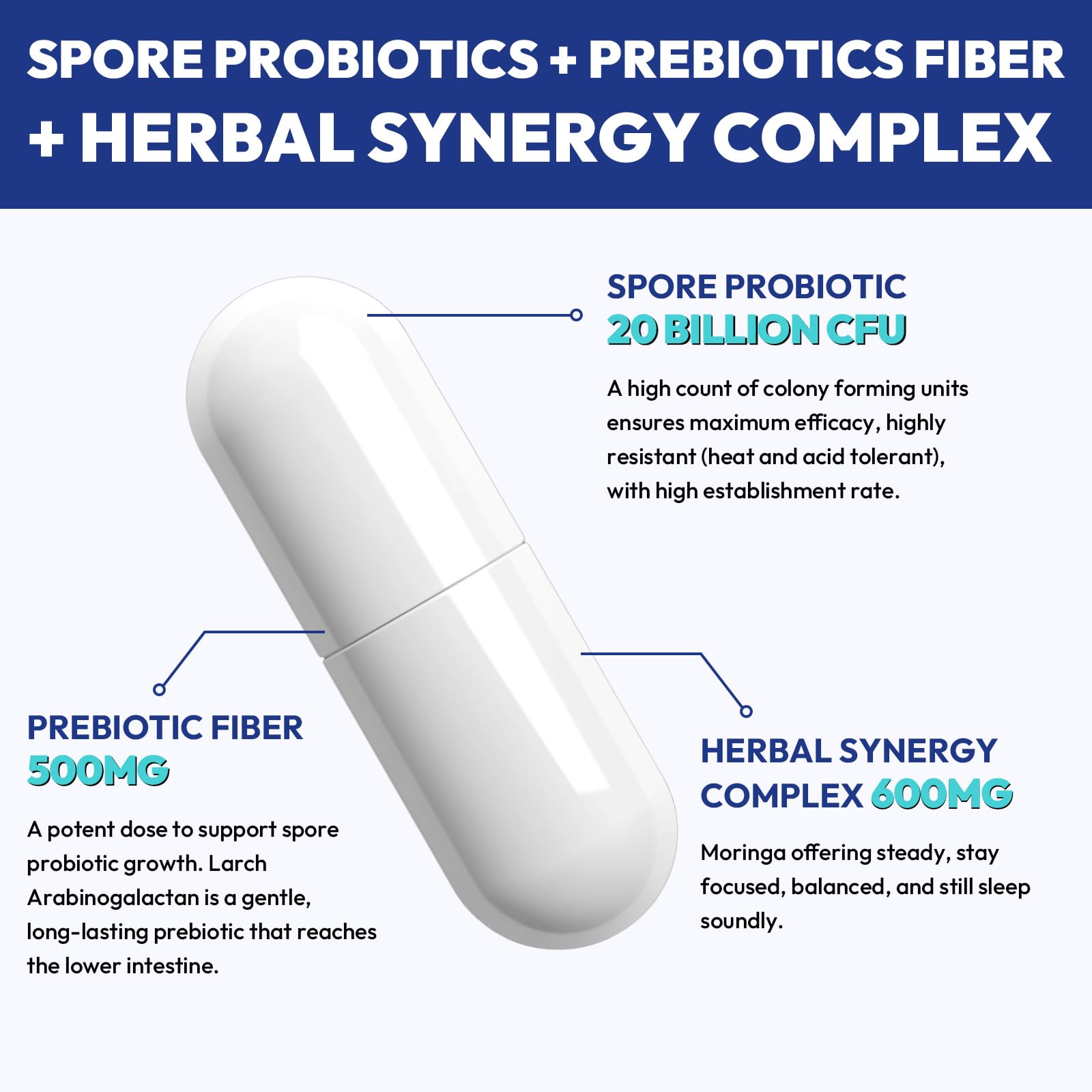Haliwooya Probiotico Esporo con sinergia herbal de moringa curcuma y jengibre